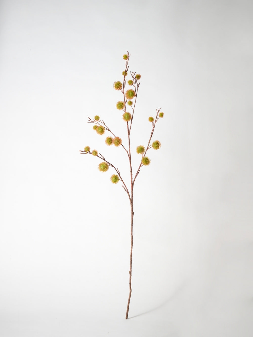 A single artificial Chestnut Spray with thin brown stems and small round yellow chestnut casings, photographed against a plain light grey studio background.