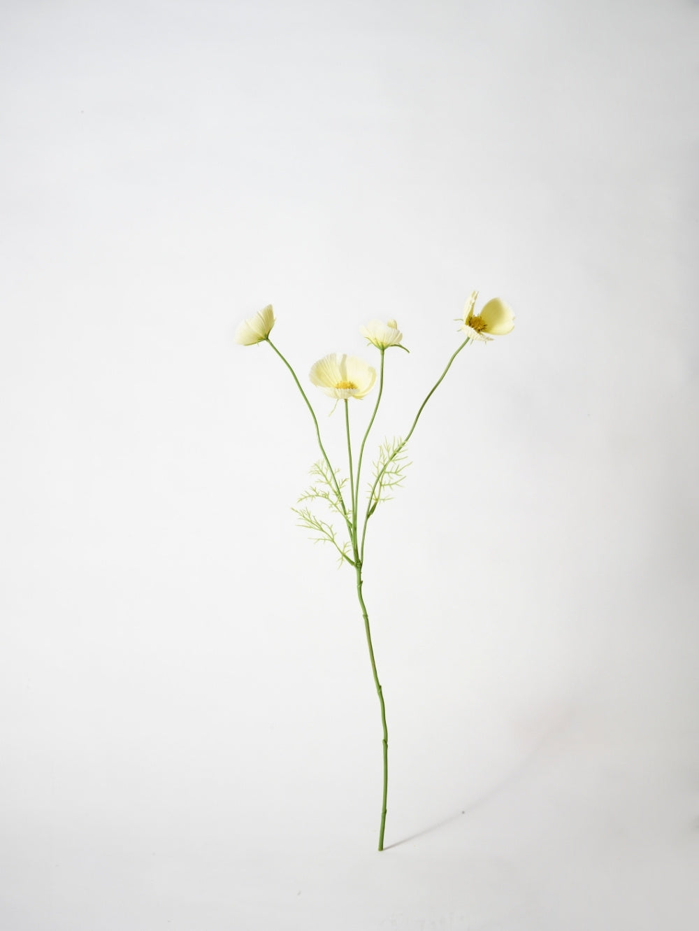 A single artificial cosmos flower stem with buttermilk pale yellow blossoms and delicate green foliage, photographed against a plain white studio background.