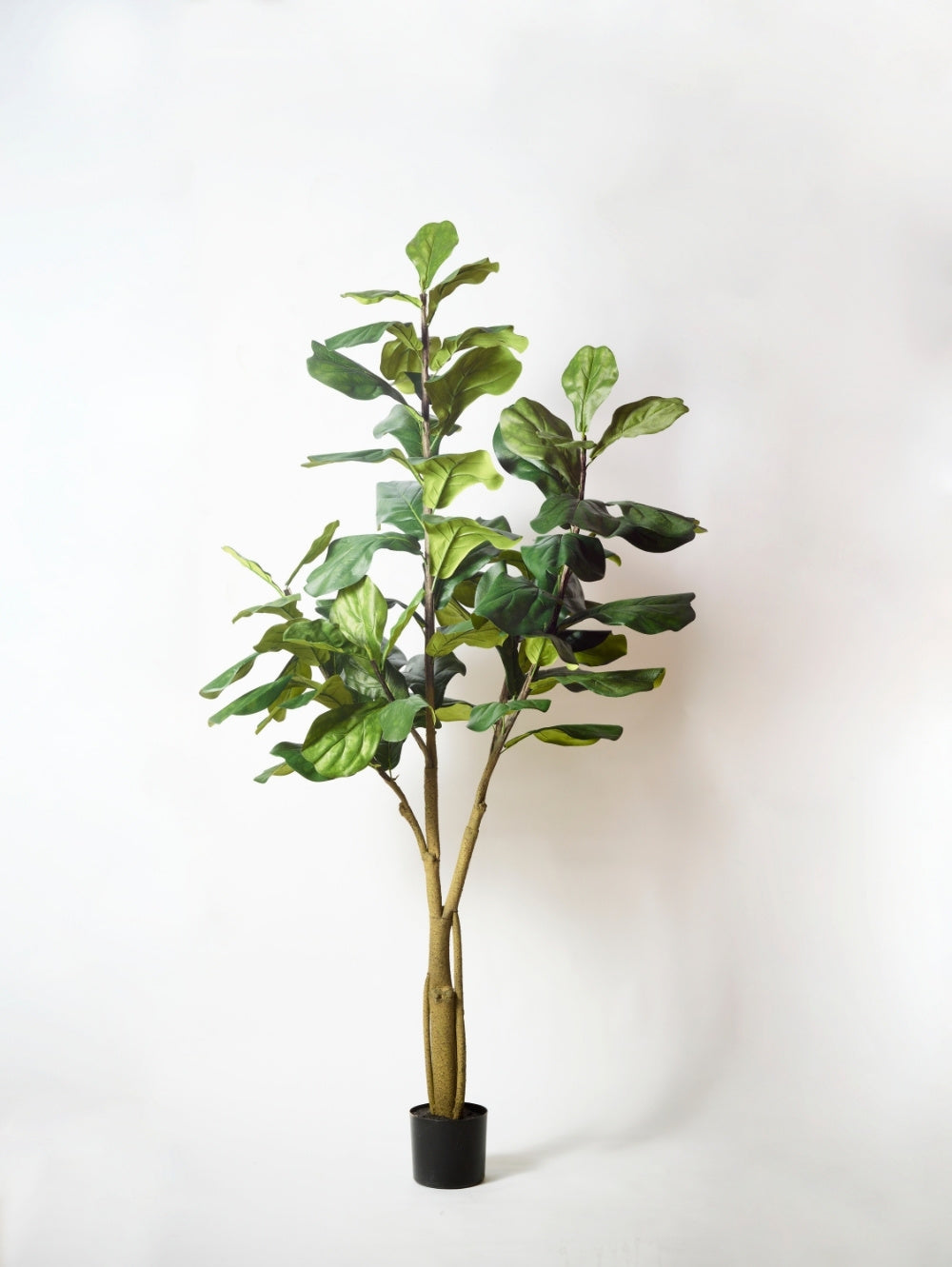 An artificial Ficus Lyrata plant 108 cm, with green leaves and brown stems, potted in a black plastic container, set against a plain white background.