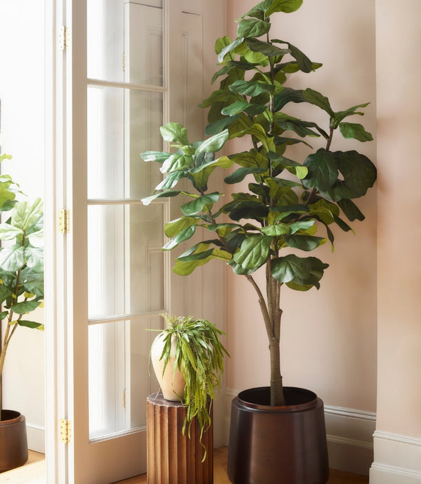 A Faux Ficus lyrata, 210 cm in a dark brown pot, standing on a wooden floor next to a cream French door, with a smaller potted trailing plant on a fluted pedestal in the background.