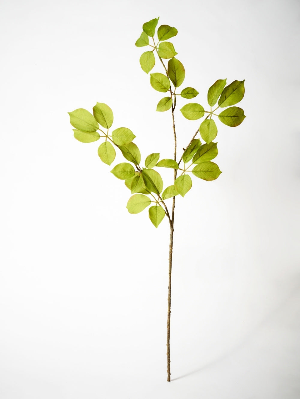 A single decorative faux fruit leaf branch with bright green leaves and a brown stem, photographed against a clean white studio background.