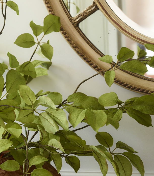 Artificial green fruit leaf branches with heart-shaped leaves draped in front of a decorative round mirror with an ornate gold frame, set against a white wall with a round panelled gold mirror