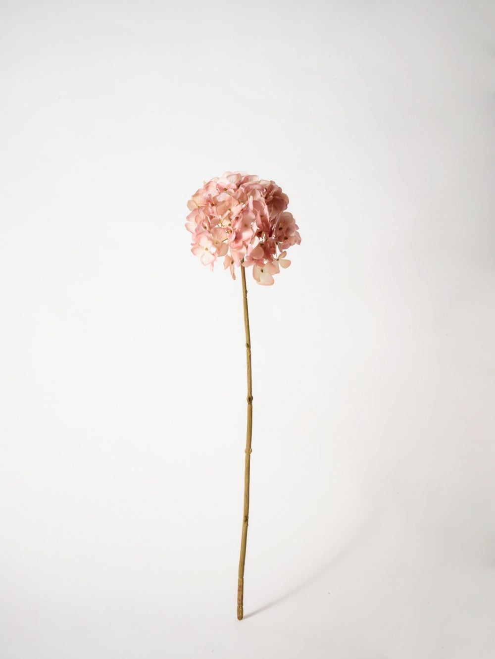 A single faux pink hydrangea stem with a round cluster of soft pink petals on a long brown stem, photographed against a clean white background.