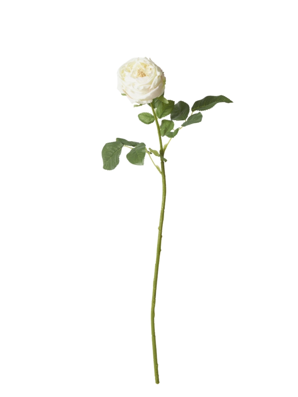 A single white cream artificial rose stem with green leaves, isolated on a plain white background.