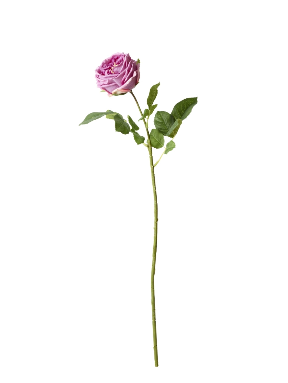 A single artificial pink rose stem with green leaves, isolated on a solid white background.