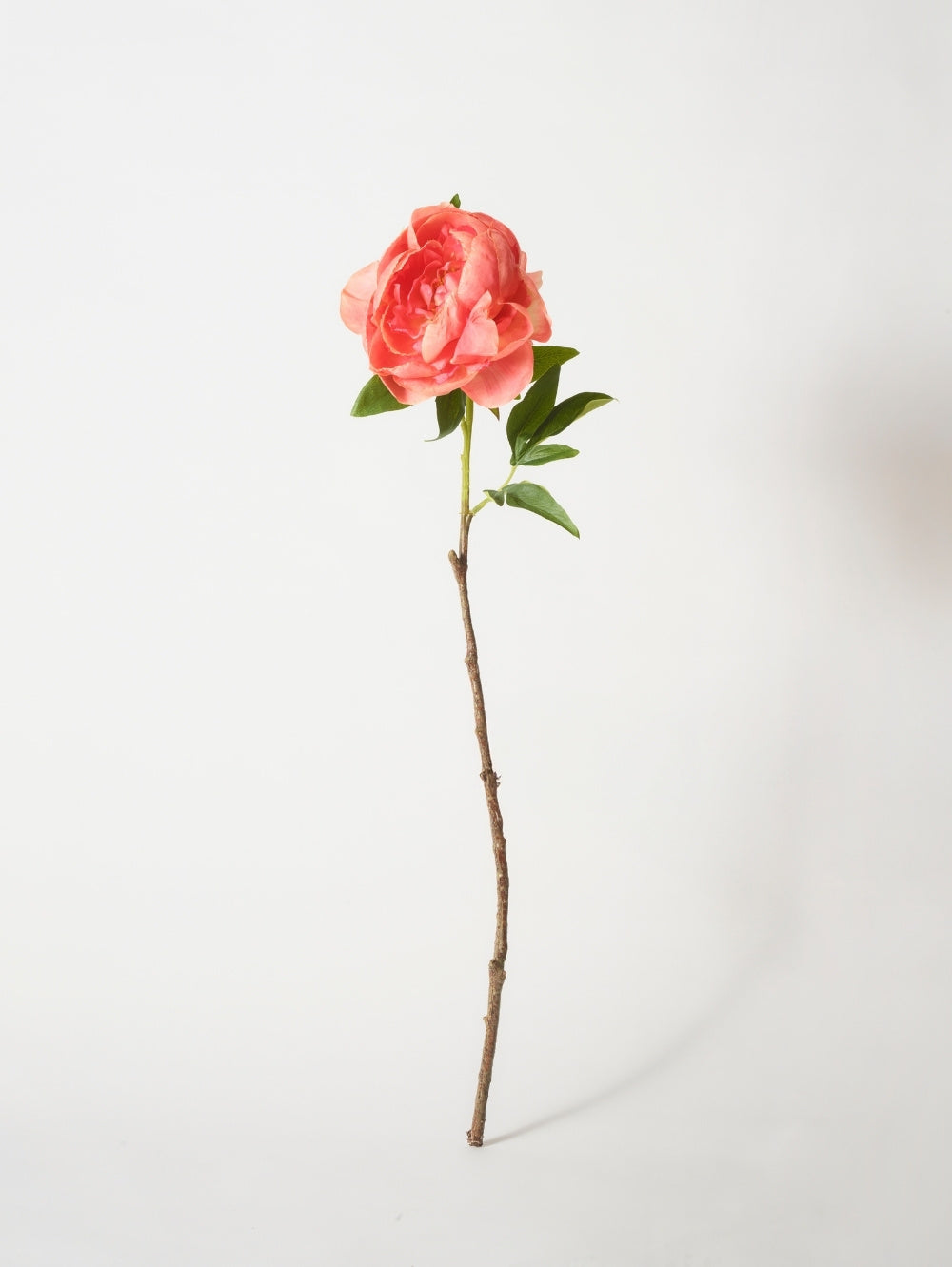 A single artificial coral pink peony with green leaves and a brown stem, photographed against a plain light grey background.