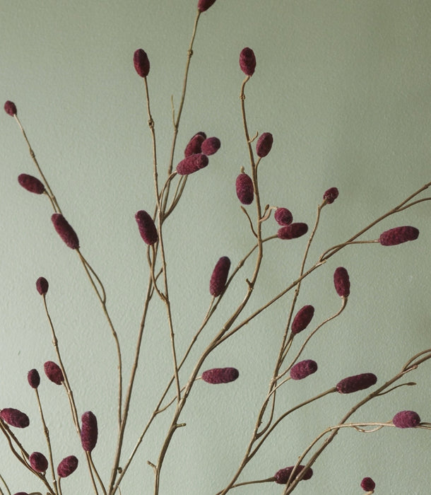 Close-up of an artificial pimpernel spray with deep burgundy buds, against a pale sage green background.