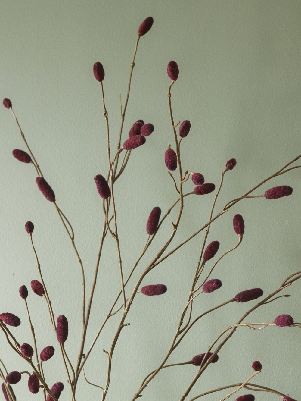 Close-up of an artificial pimpernel spray with deep burgundy buds, against a pale sage green background.
