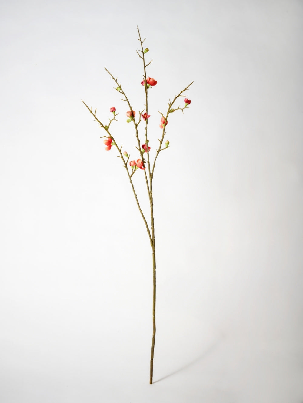 A single artificial quince blossom spray,  with thin brown stems, small green buds, and scattered orange / pink flowers,  photographed against a plain light grey studio background.