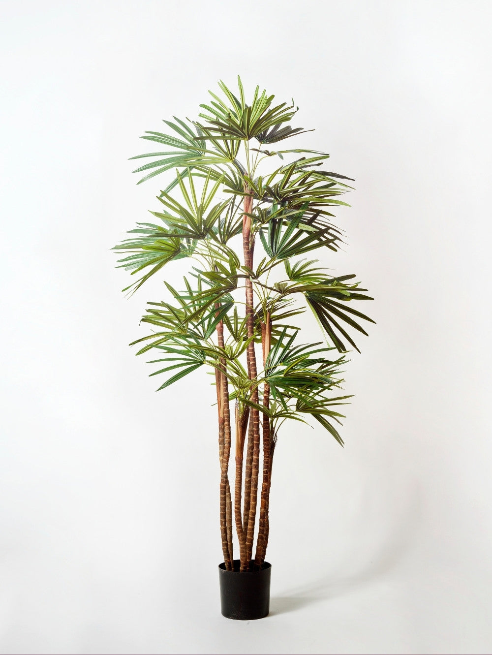 An artificial Raphis Palm tree in a black plastic pot, photographed against a plain white studio background.