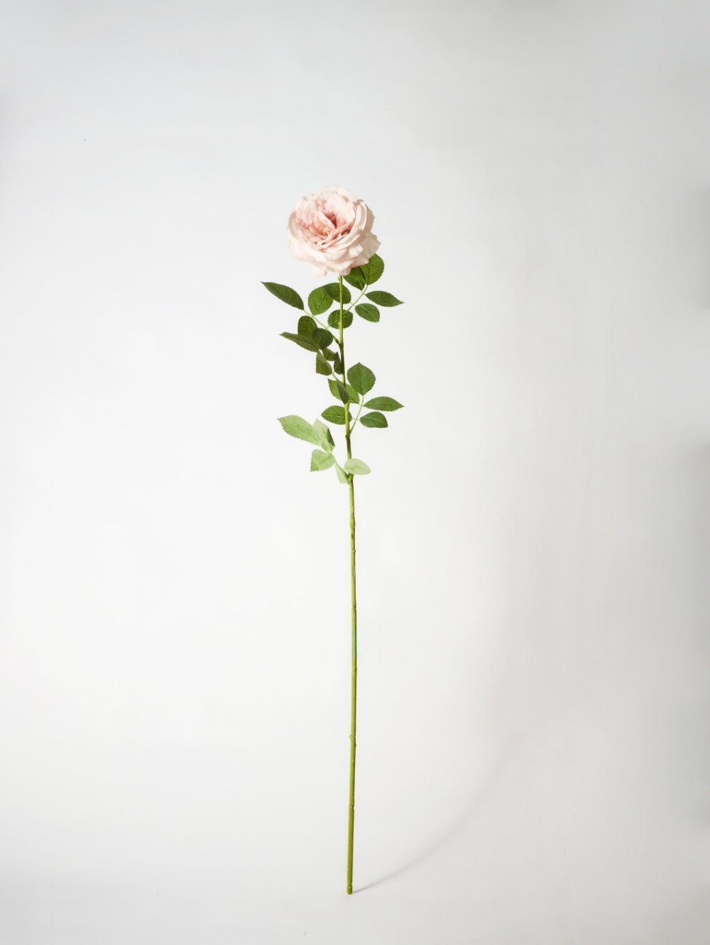 single stem faux rose in chiffon pink againsgt a white background