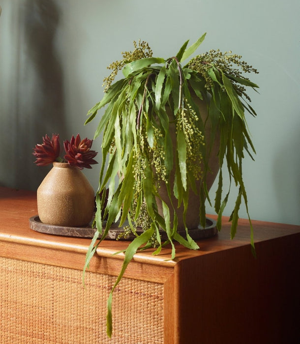 A green faux trailing berberis houseplant with narrow leaves and small clustered flowers sits in a dark pot on a wooden cabinet, next to a small beige vase with burgundy flowers against a muted green wall.