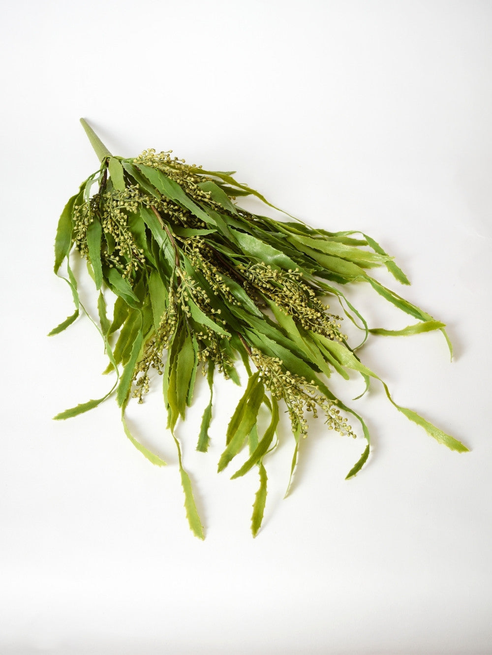 A faux trailing Berberis plant with green leaves and small yellow-green flower clusters, a botanical decorative sprig, photographed on a plain white background.