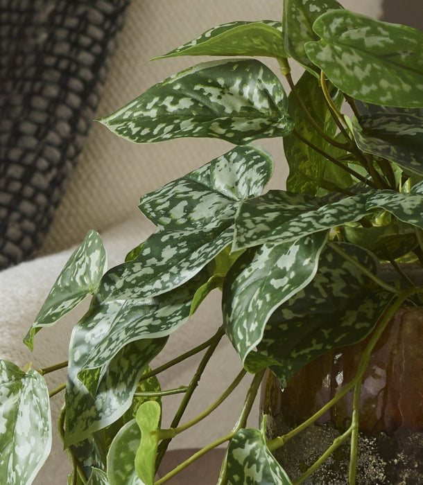 A close-up of an artificial, green, trailing Scindapsus houseplant with variegated silver and white marbling on its heart-shaped leaves, growing in a brown pot on a beige sofa.
