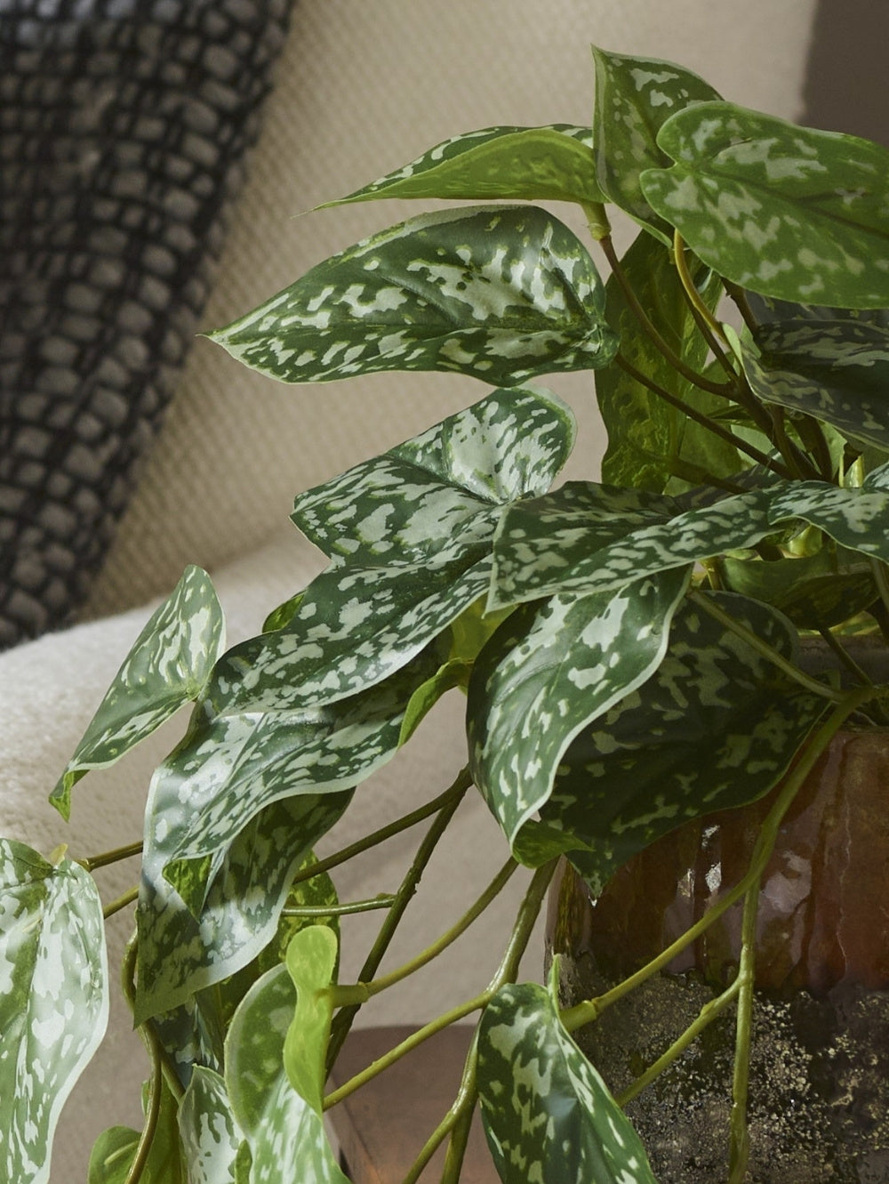 A close-up of an artificial, green, trailing Scindapsus houseplant with variegated silver and white marbling on its heart-shaped leaves, growing in a brown pot on a beige sofa.