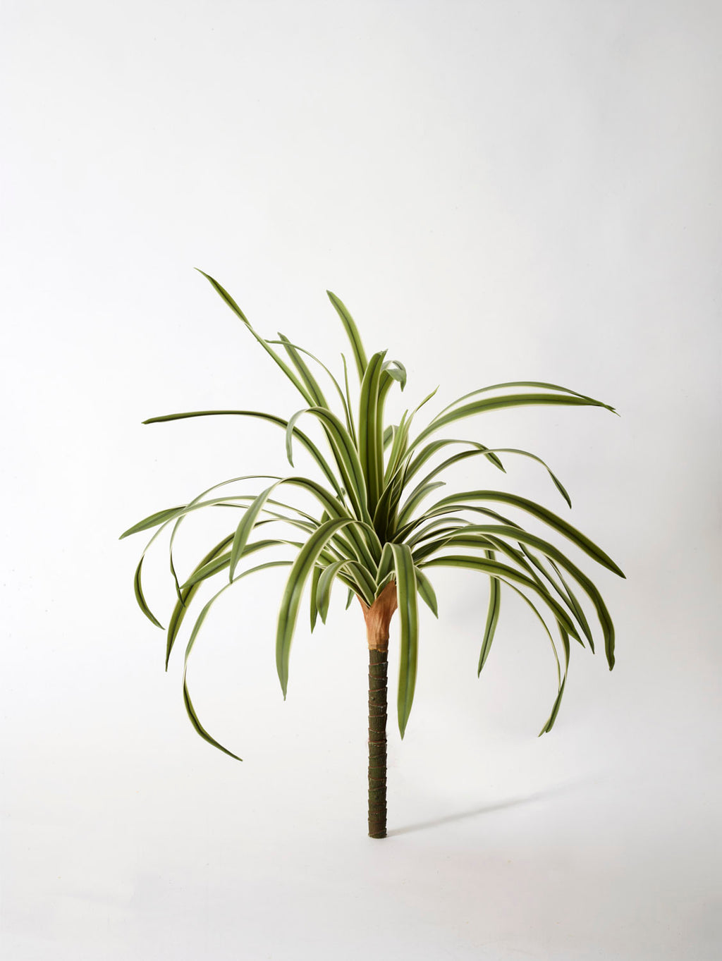 Faux Hawaiian Spider Potted, Variegated - 46 cm