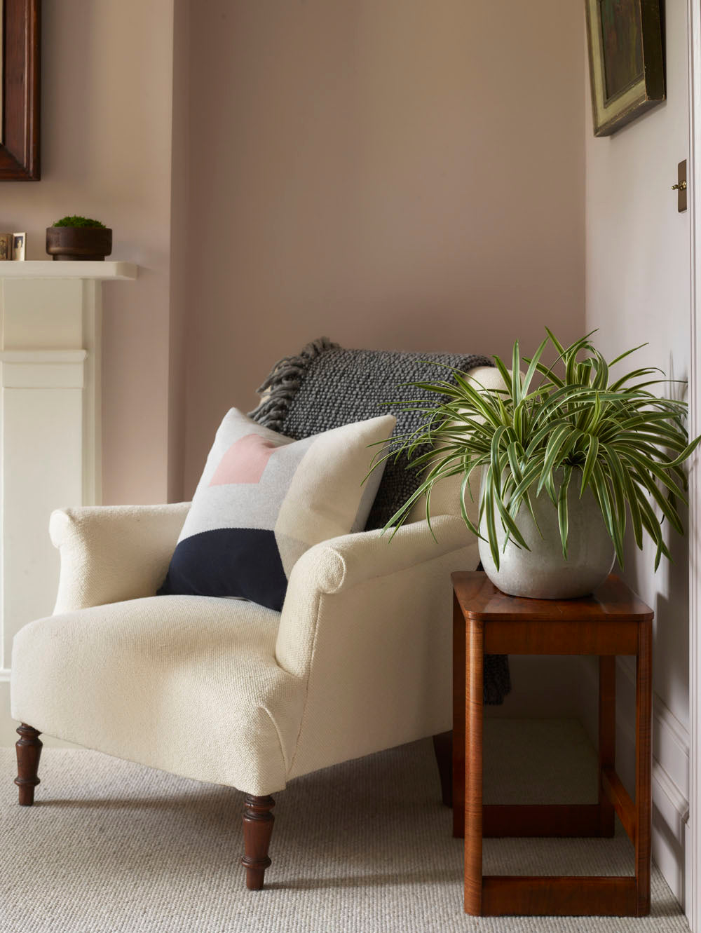 Faux Hawaiian Spider Potted, Variegated - 46 cm