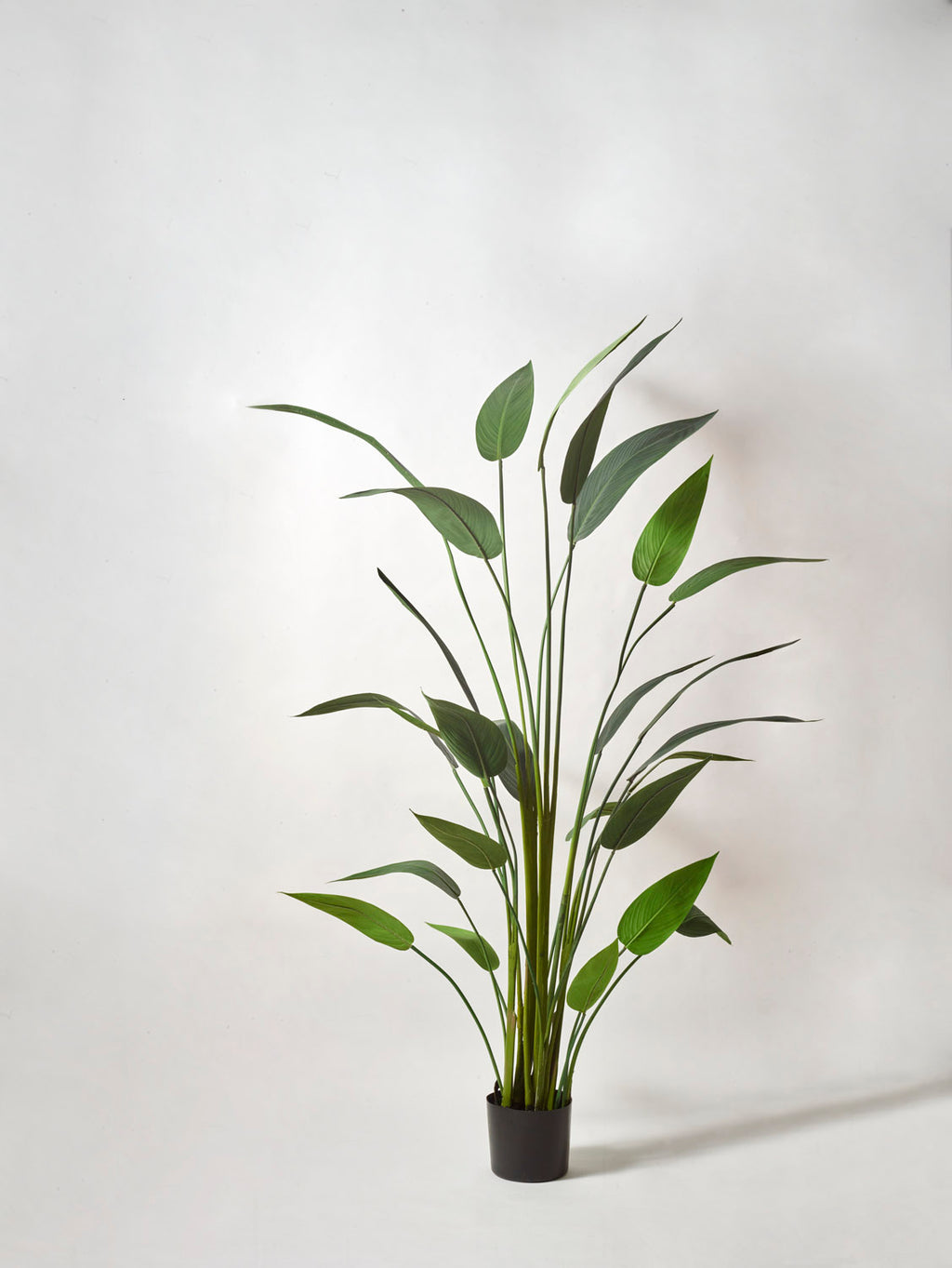 Faux Heliconia, Green - 175 cm