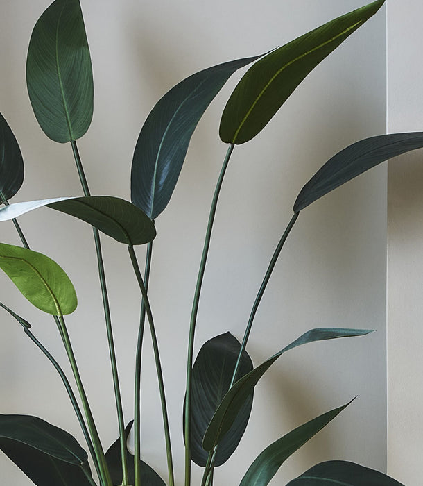 Faux Heliconia, Green - 175 cm