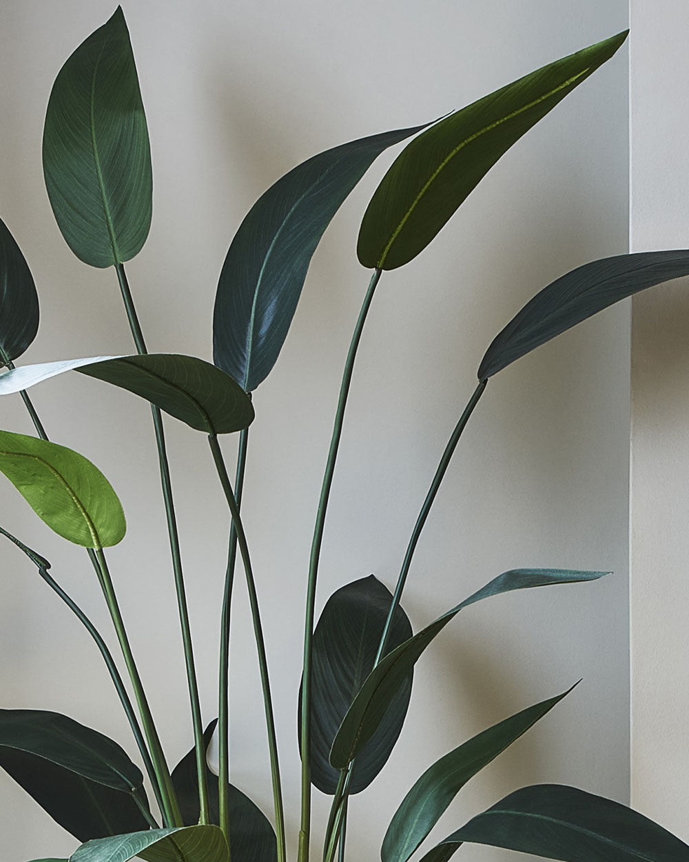 Faux Heliconia, Green - 175 cm