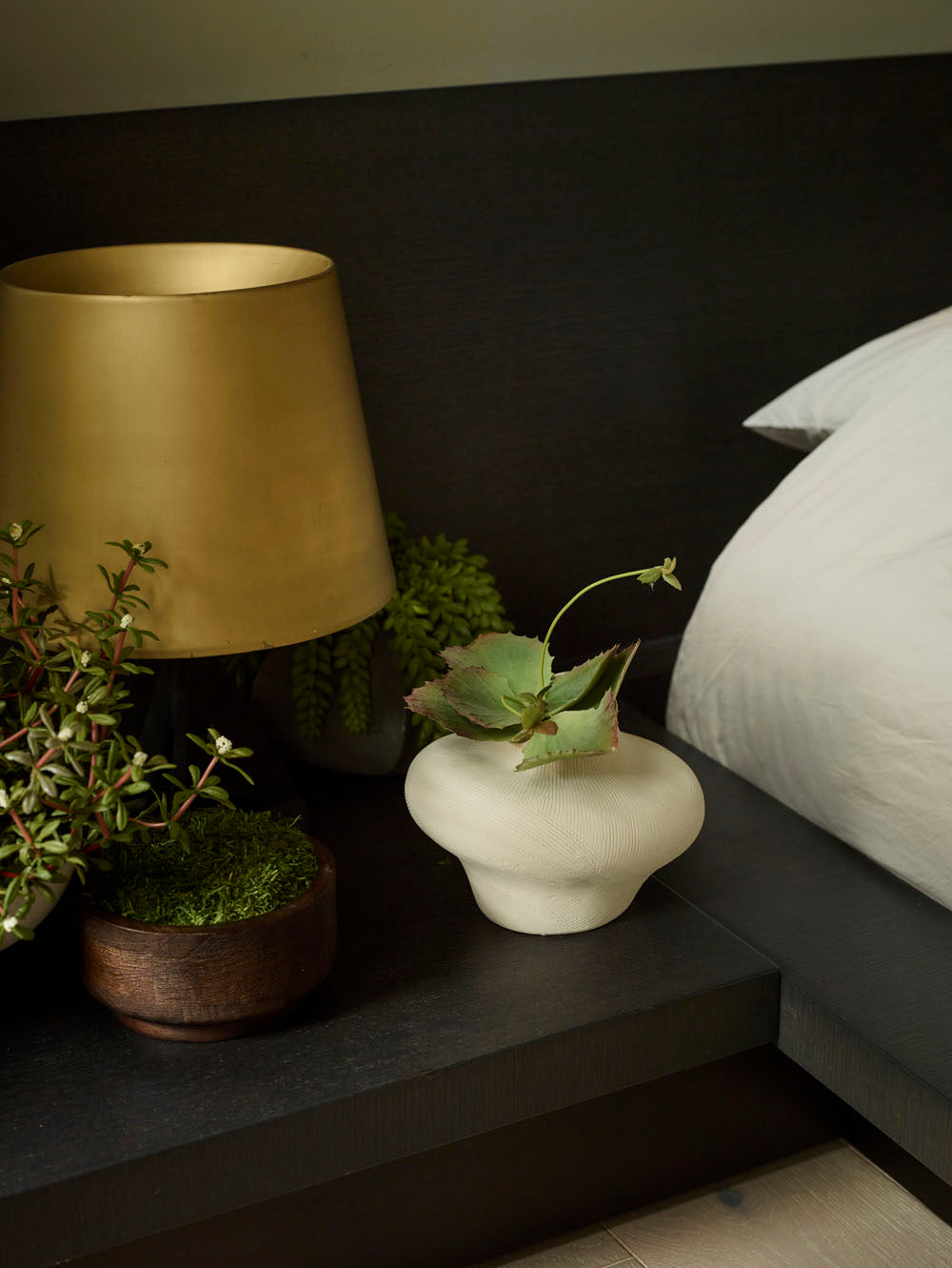 Faux Kalancoe Potted, Green - 13 cm