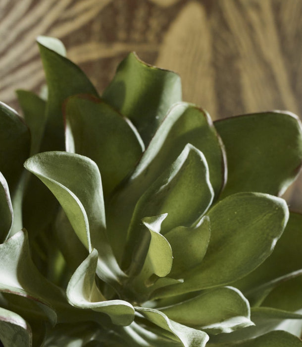 Faux Leaf Succulent Potted, Green - 18 cm