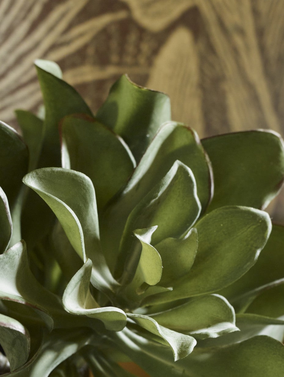 Faux Leaf Succulent Potted, Green - 18 cm