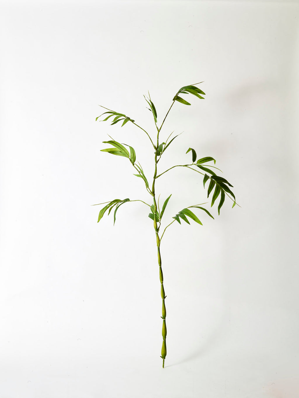 The Faux Bamboo Stem, Green - 110 cm features a tall stem with slender green leaves set against a white background, capturing the tranquil elegance of zen-inspired Japanese decor.