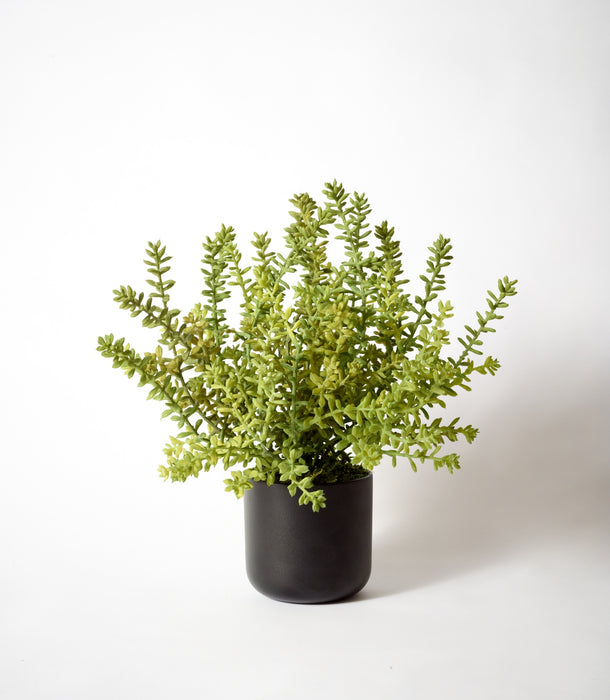 Faux Sedum bush potted plant