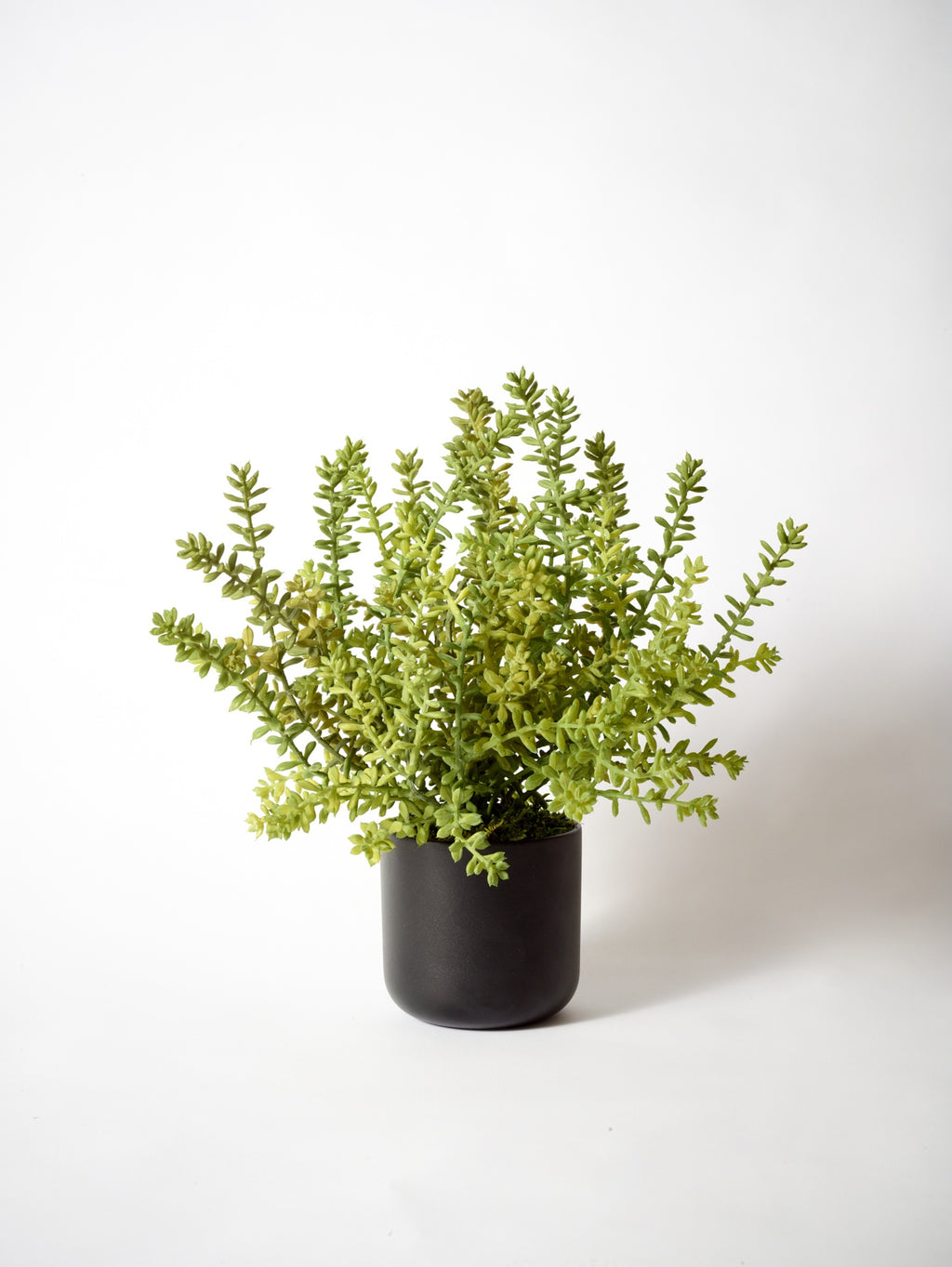 Faux Sedum bush potted plant