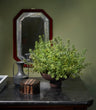 Brown Baburu Bowl Mini by 101 Copenhagen, styled with a generous arrangement of green foliage on a dark marble console table, alongside decorative objects and a framed mirror.
