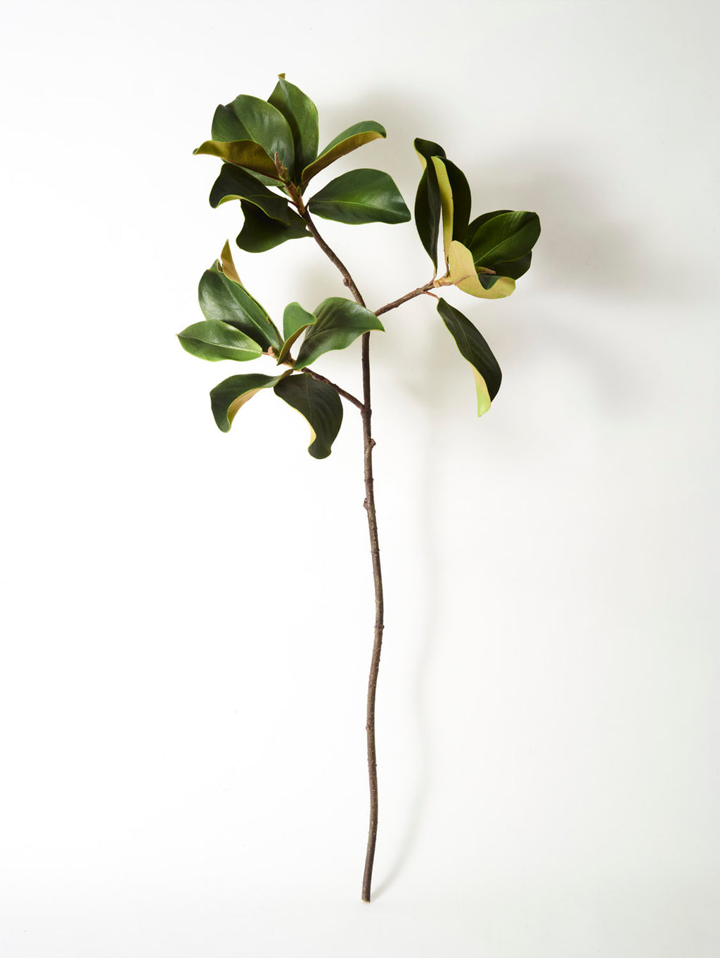 Faux Magnolia Leaf Branch, Green - 99 cm