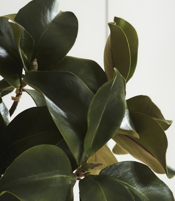 Faux Magnolia Leaf Branch, Green - 99 cm