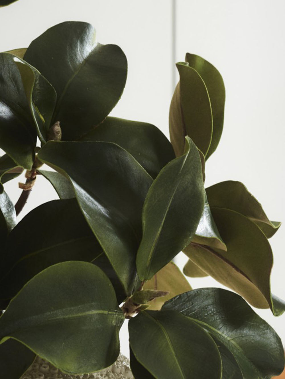 Faux Magnolia Leaf Branch, Green - 99 cm