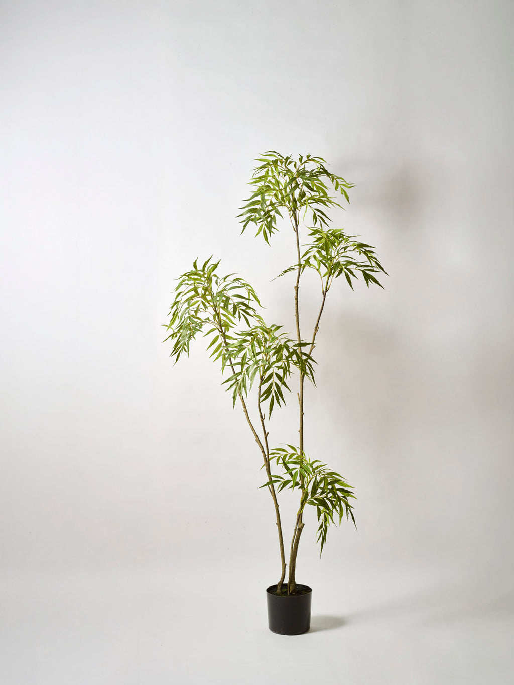 Faux Mahonia Tree, Green - 180 cm