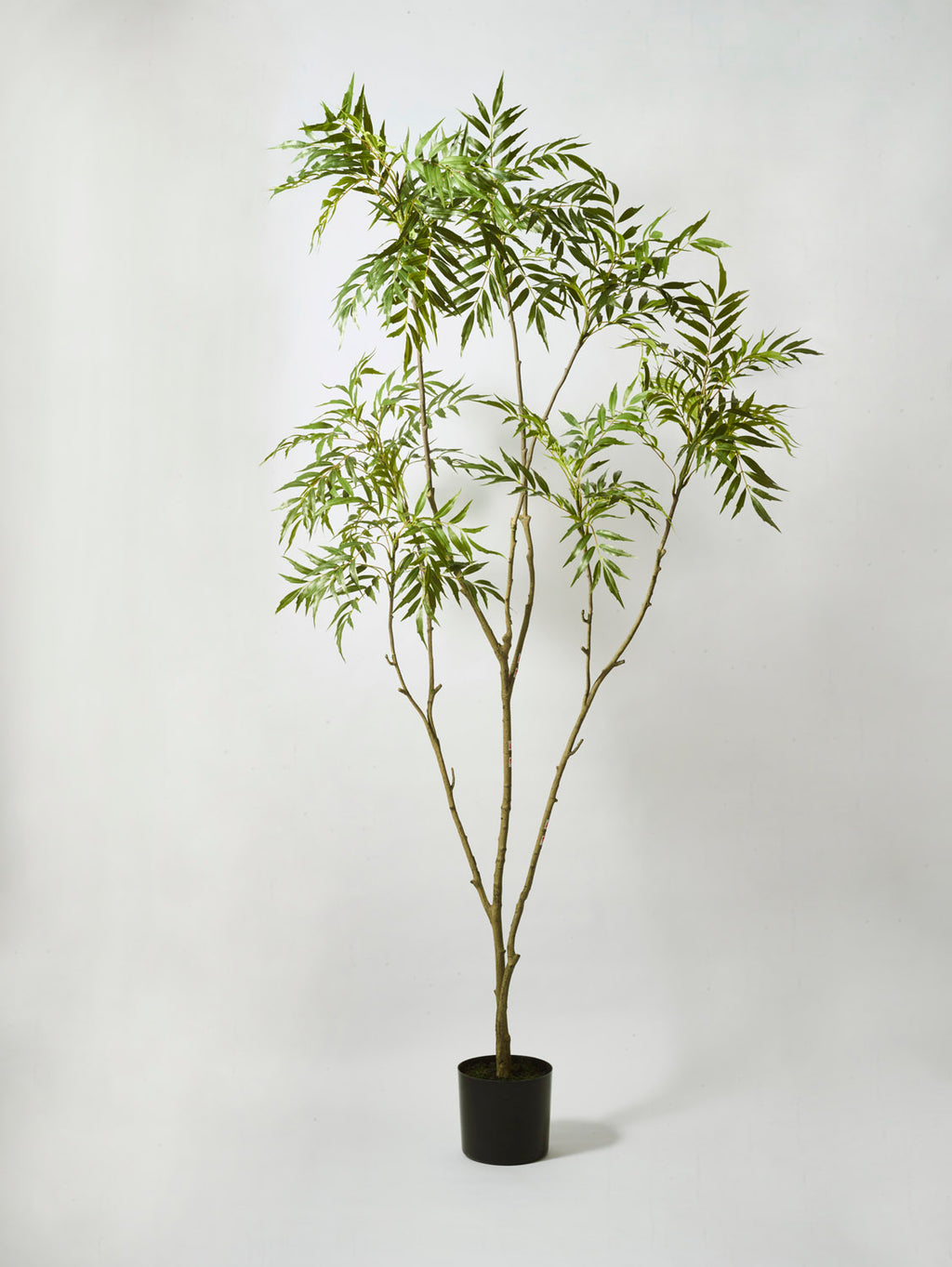 Faux Mahonia Tree, Green - 210 cm