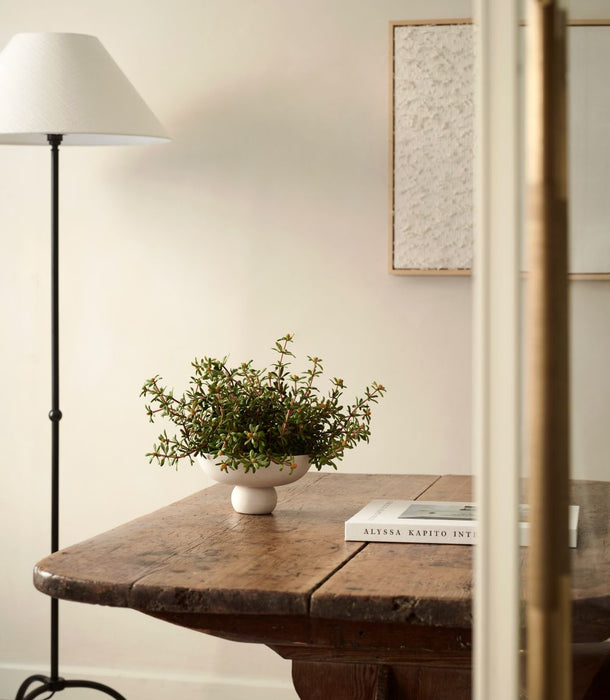 Faux Purslane potted in a Baburu bowl by 101 Copenhagen , Orange - 25 cm