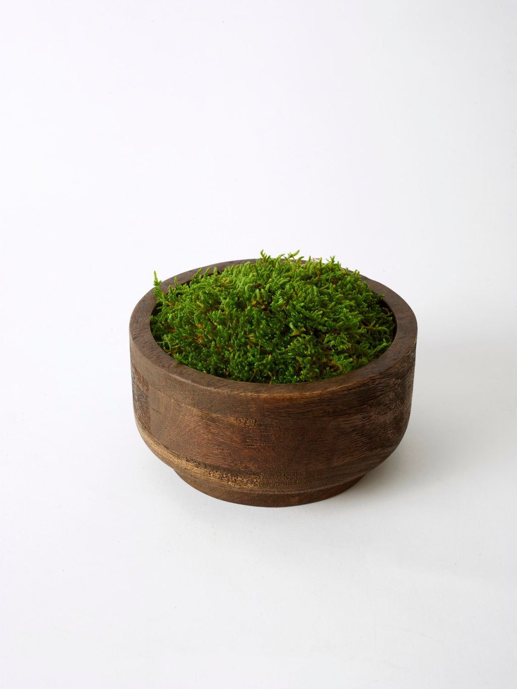Natural Moss in Mango Wood, Green - 15x8 cm
