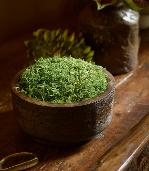Natural Moss in Mango Wood, Green - 15x8 cm