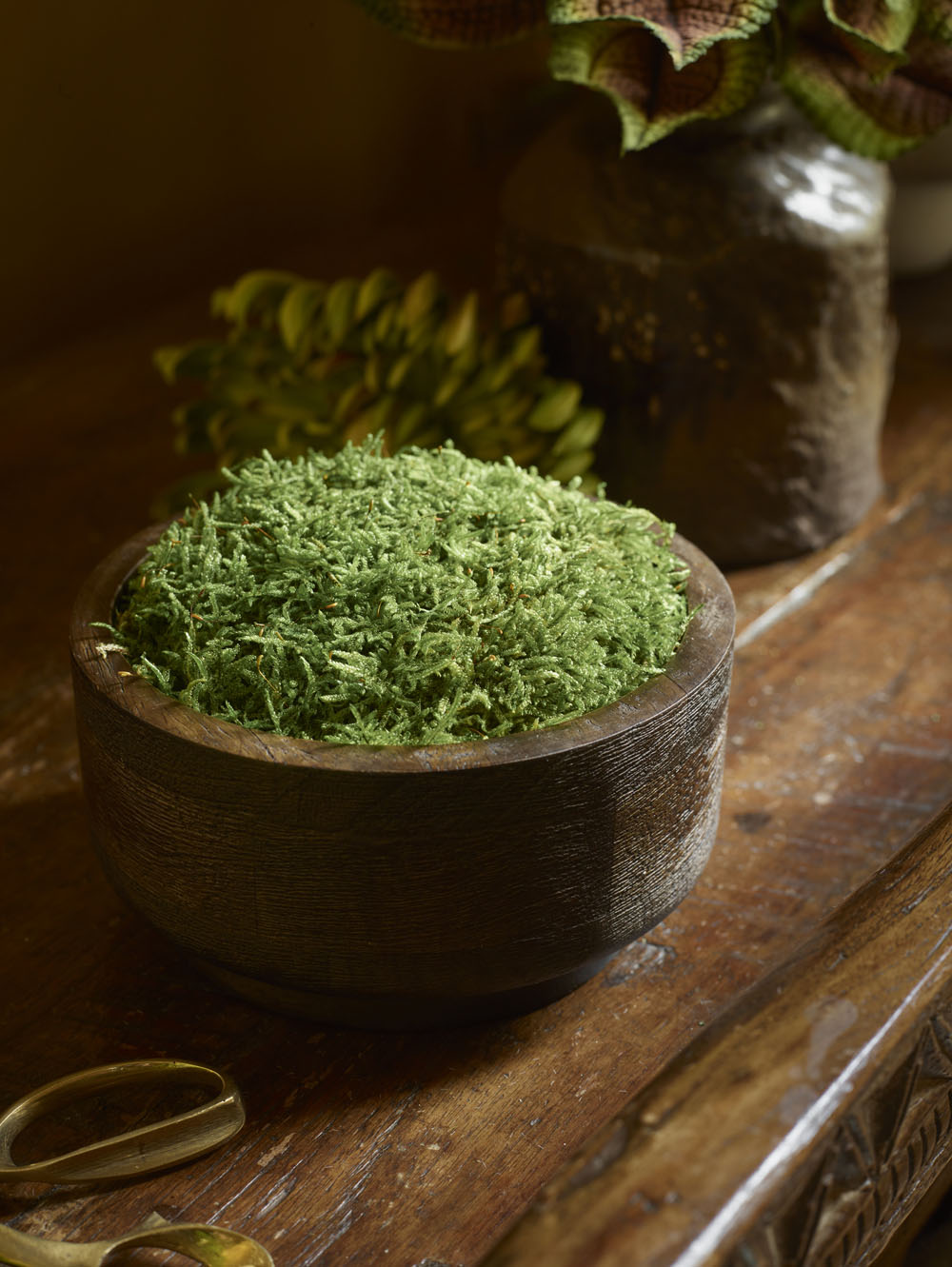 Natural Moss in Mango Wood, Green - 15x8 cm