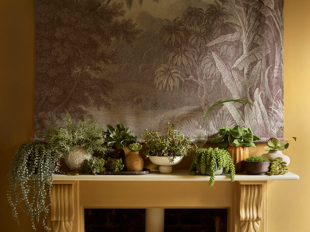 Natural Moss in Mango Wood, Green - 15x8 cm