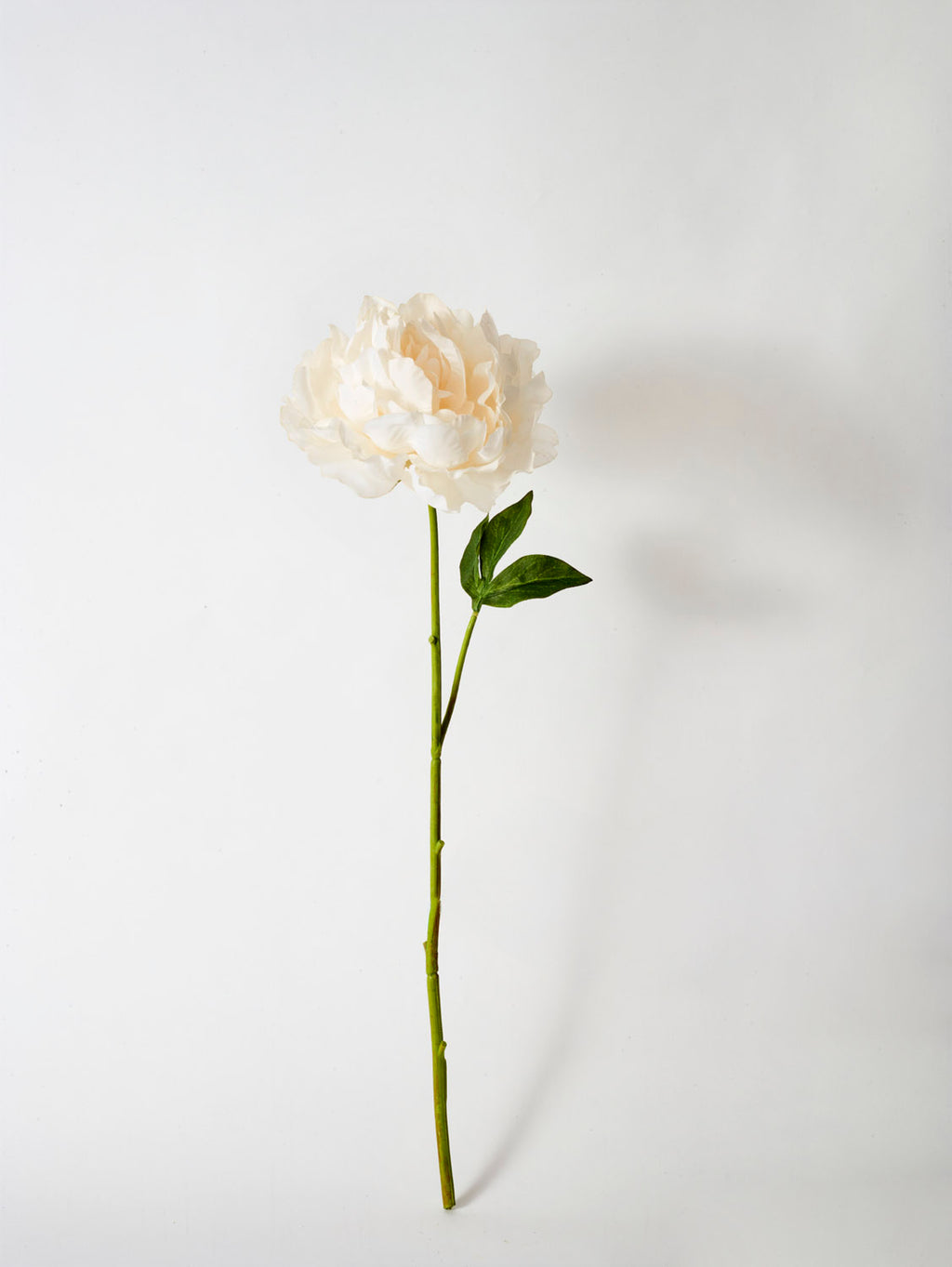 Faux Peony, Cream - 57 cm