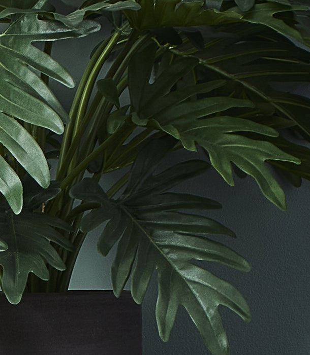 Faux Philodendron Xanadu, Green - 50 cm