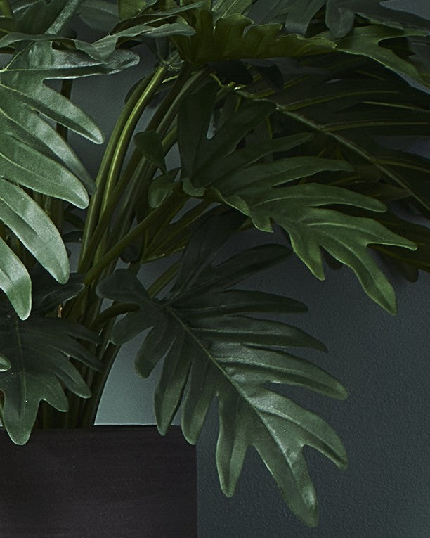 Faux Philodendron Xanadu, Green - 50 cm