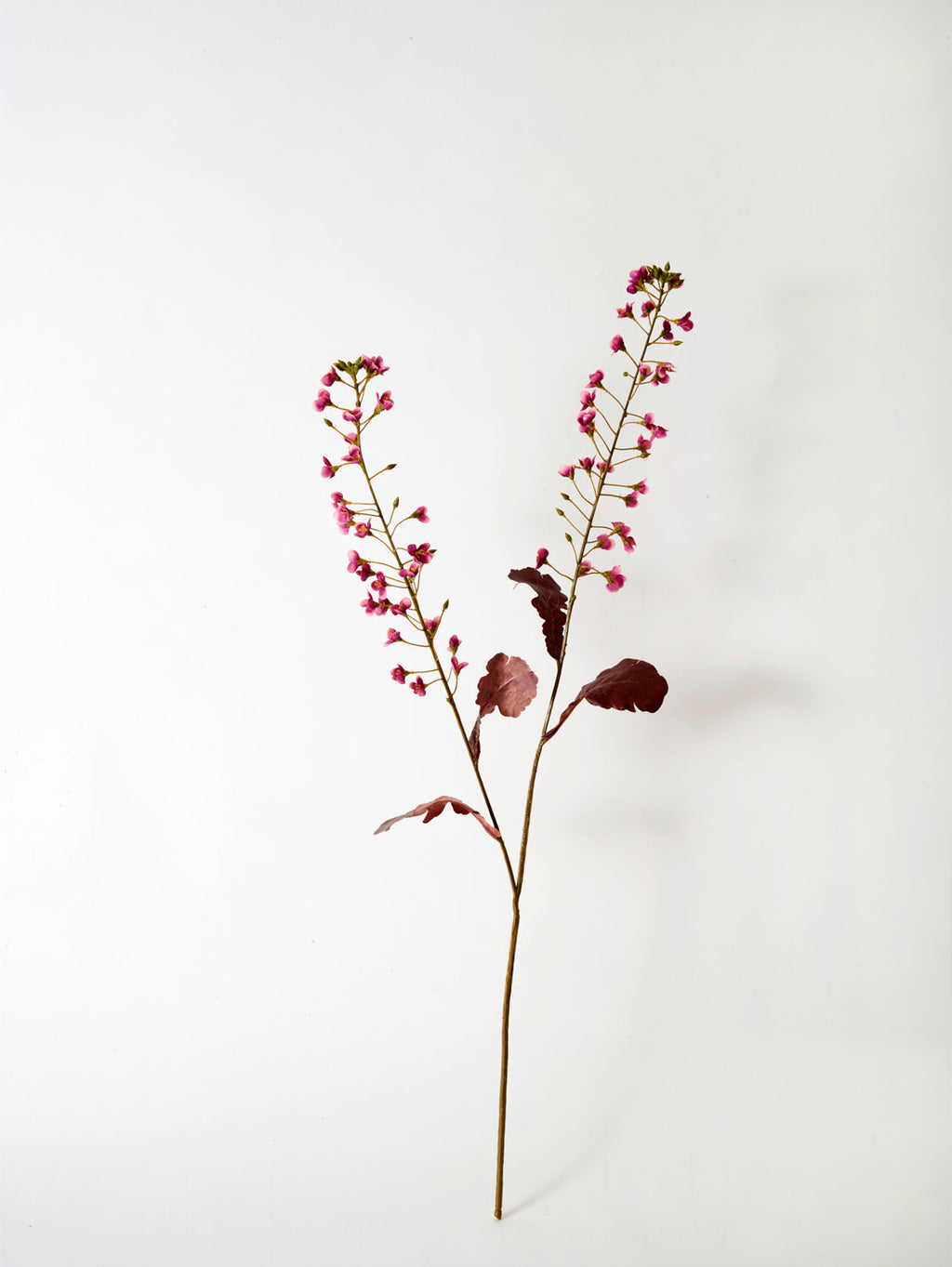 The Faux Primula Fandango, Pink - 85 cm features two branches of delicate pink flowers and reddish-brown leaves, bringing cottage garden charm to any space against a plain white backdrop.
