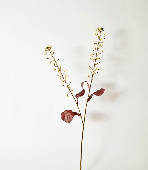 Faux Primula, White - 85 cm