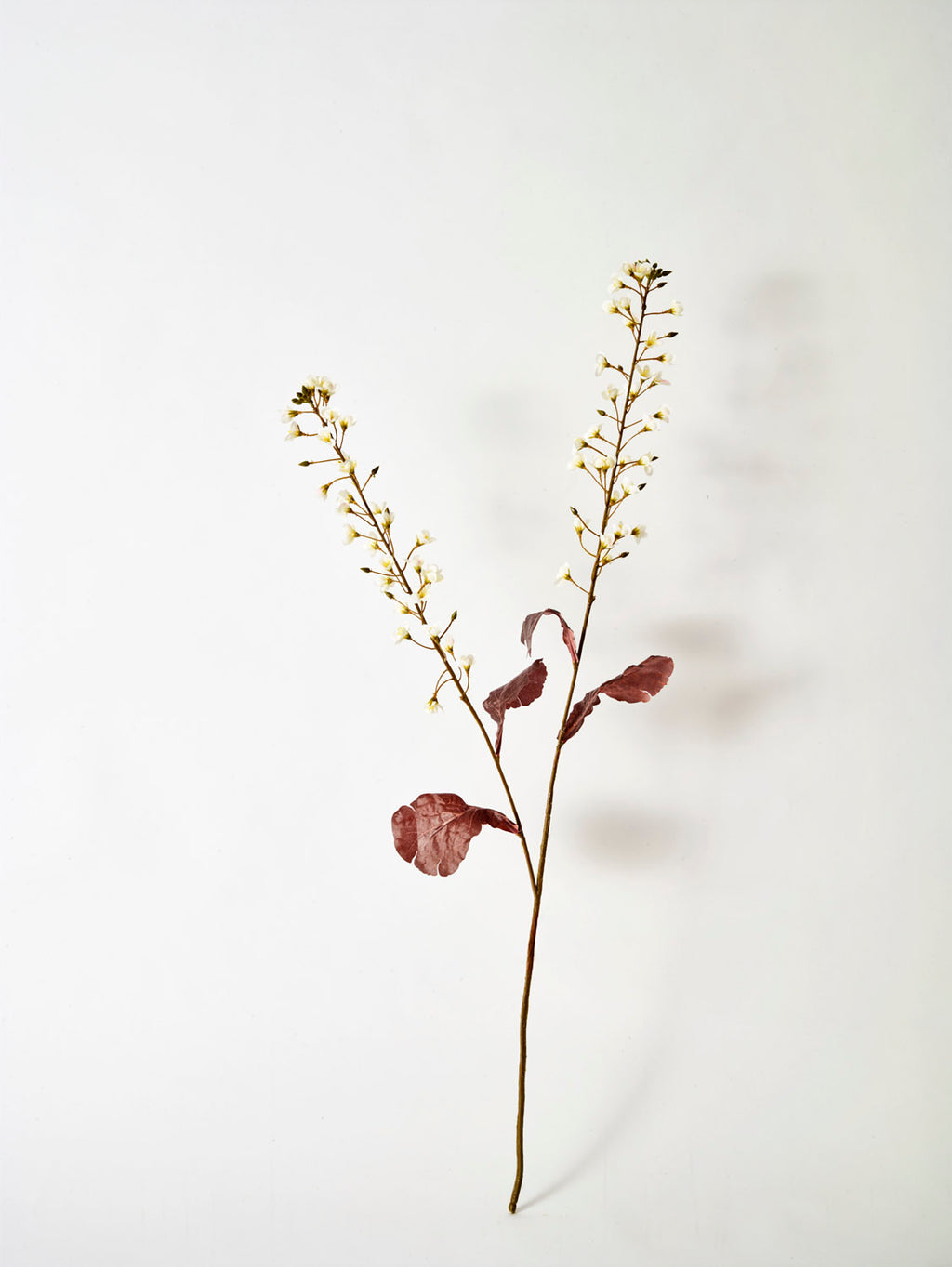 Faux Primula, White - 85 cm