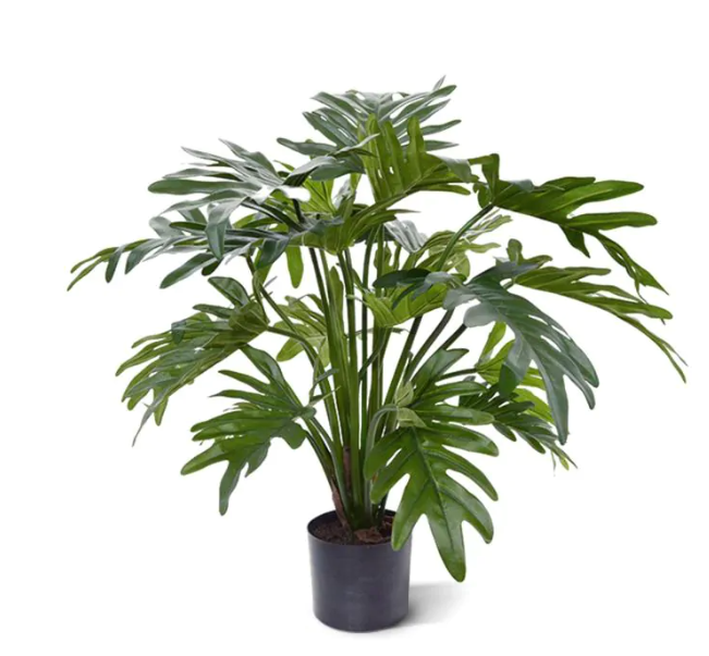 Faux Philodendron Xanadu, Green - 50 cm