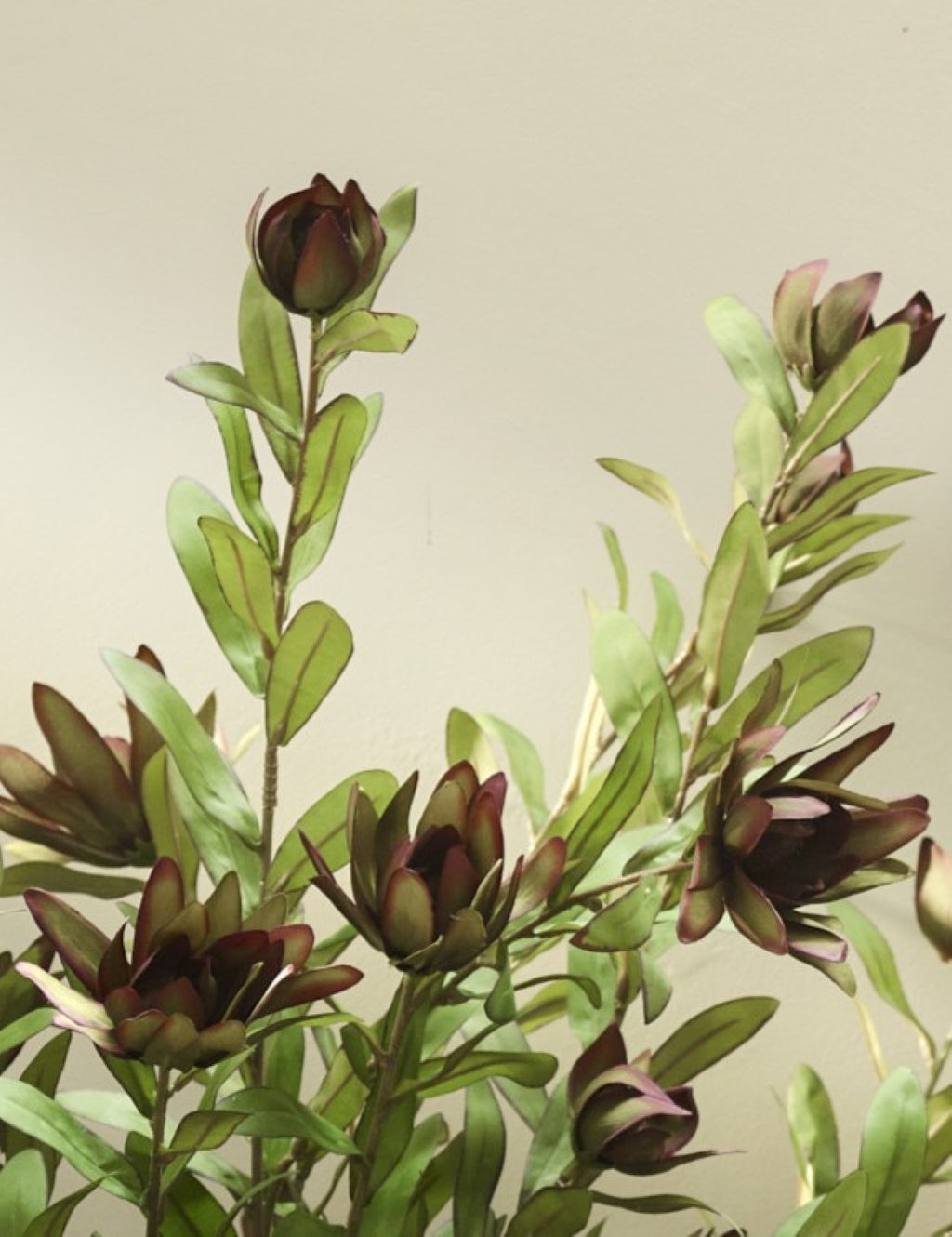 Close-up of Green Faux Protea by Fake It Flowers, featuring dark burgundy and green flower heads, pointed petals, unopened buds and fresh green leaves.