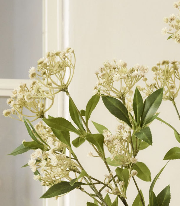 Faux Queen Anne's Lace, Natural - 109 cm